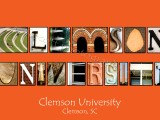 Clemson University Orange