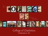 College of Charleston Maroon