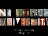 NC State University Black
