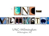 UNC-Wilmington White