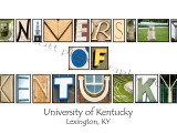 University of Kentucky White