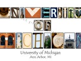 University of Michigan White