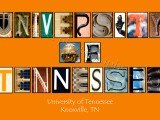 University of Tennessee Orange