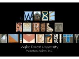 Wake Forest University Black